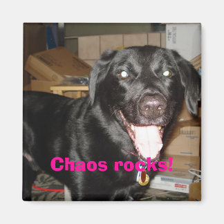 Chaos rockt! magneet
