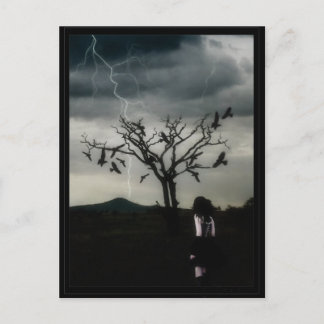 Chaos Theory Briefkaart