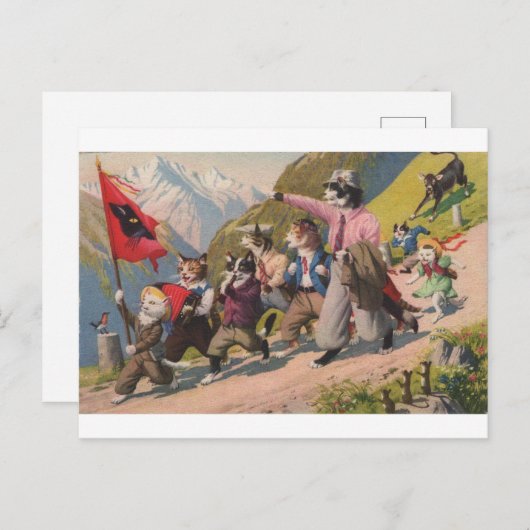 Chaotic Cats, Op de Mars, Repro Briefkaart (Voorkant / Achterkant)