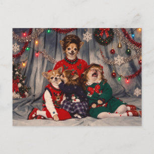 Chaotisch Retro Chihuahua Kerst Familieportret Briefkaart