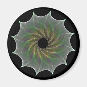 chaotische aantrekking magneet