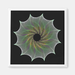 chaotische aantrekking magneet