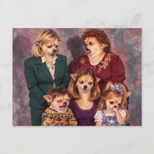 Chaotische Chihuahua-familieportret, stijl jaren 9 Briefkaart