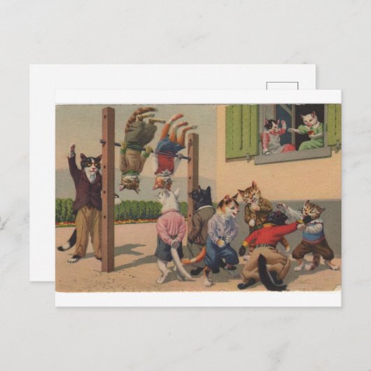 Chaotische katten, Gym Class Brawl, Repro Briefkaa Briefkaart (Voorkant / Achterkant)