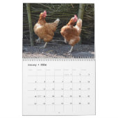 Chaotische kip portretten 2026 kalender (Jan 2026)