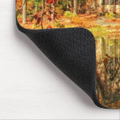 Chapel in Callaway Muismat (Hoek)