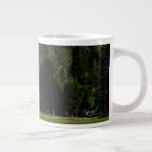 Chapel in Yosemite Grote Koffiekop (Rechts)