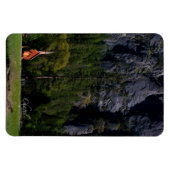 Chapel in Yosemite Magneet (Horizontaal)