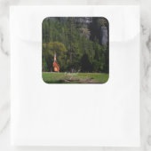Chapel in Yosemite Vierkante Sticker (Tas)