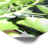 Chapelbrug Poster (Hoek)