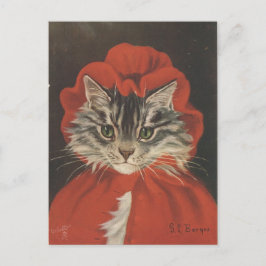Chaperon rouge chat briefkaart