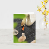 Chaperone (Mute swan cygnets #5) - Blank Note Kaar Kaart (Gele Bloem)