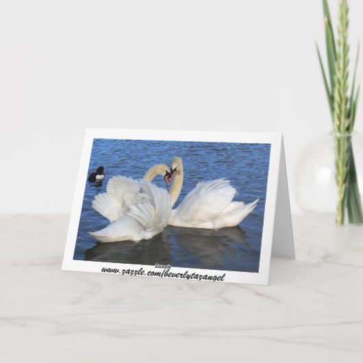 Chaperoned Swan Heart Love Kaart (Achterkant)