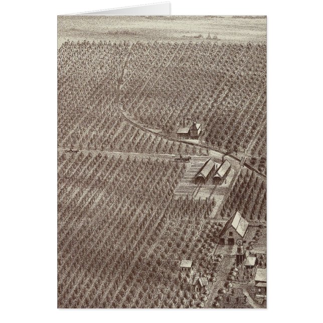 Chapin Fruit Ranch (Voorkant)