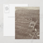 Chapin Fruit Ranch Briefkaart (Voorkant / Achterkant)