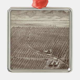 Chapin Fruit Ranch Metalen Ornament