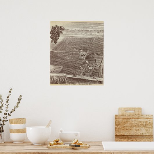 Chapin Fruit Ranch Poster (Keuken)