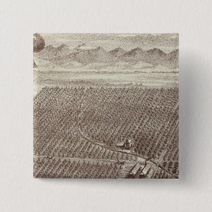 Chapin Fruit Ranch Vierkante Button 5,1 Cm