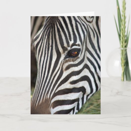 Chapman Gestreepte Kaart (Voorkant)