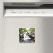 Chapman Herfsten, East Haddam, CT, Magneet (Insitu (Vaatwasser))