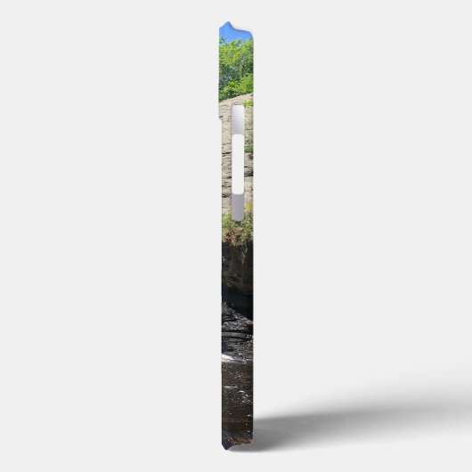 Chapman Herfsten iPhone hoesjes (Achterkant / Links)