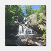 Chapman Herfsten Magneet (Voorkant)