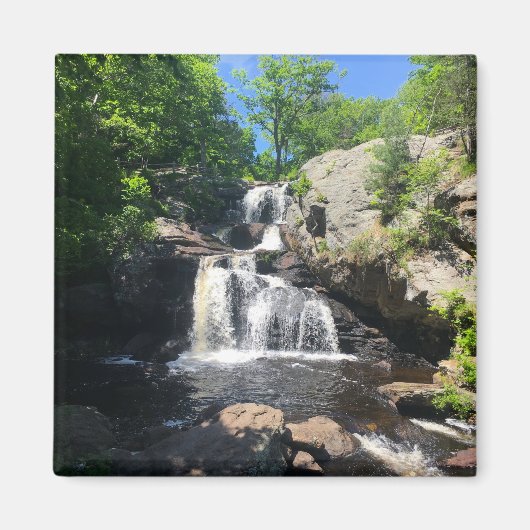 Chapman Herfsten Magneet (Voorkant)