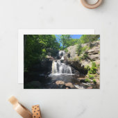 Chapman Herfsten Notitiekaartje (Voorkant / Achterkant in situ)