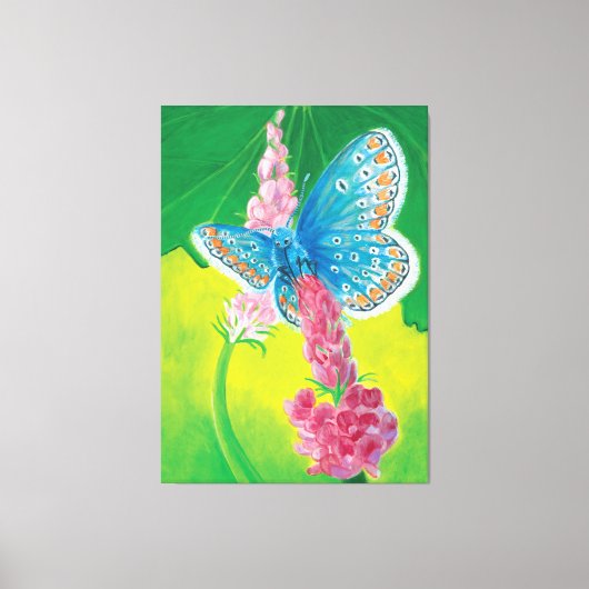 Chapmans blauwe vlinder (Polyommatus thersites) Canvas Afdruk (Voorkant)