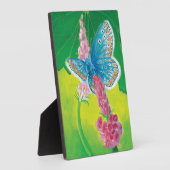 Chapmans blauwe vlinder (Polyommatus thersites) Fotoplaat (Zijkant)