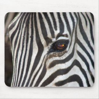 Chapmans Zebra Muismat