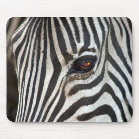 Chapmans Zebra Muismat (Voorkant)