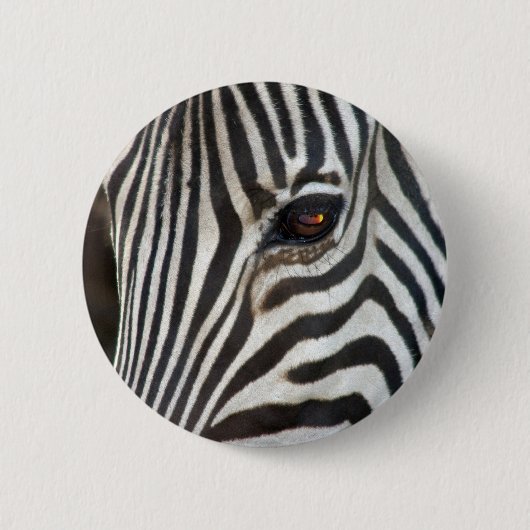 Chapmans Zebra Ronde Button 5,7 Cm (Voorkant)
