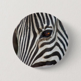 Chapmans Zebra Ronde Button 5,7 Cm