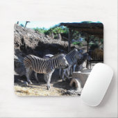Chapman's zebra's muismat (Met muis)