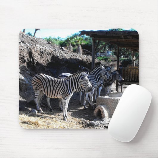 Chapman's zebra's muismat (Met muis)