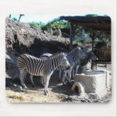 Chapman's zebra's muismat (Voorkant)