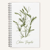 Chara Fragilis Sea-Inspired Notitieboek (Voorkant)