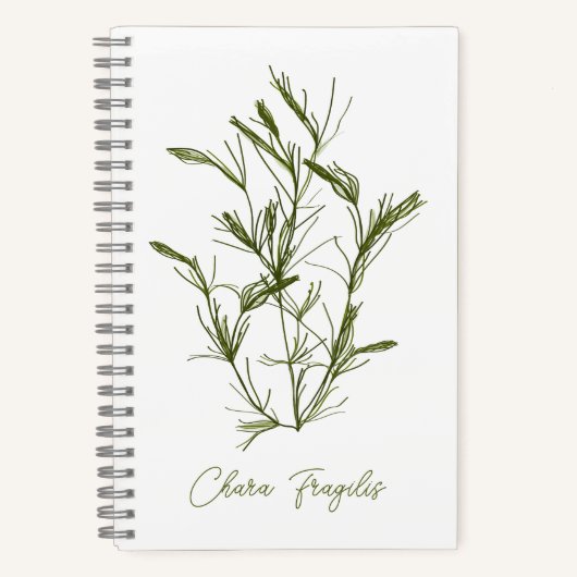 Chara Fragilis Zee-Geïnspireerd Notitieboek (Voorkant)