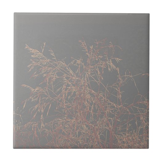 Charcoal Gray Golden Tree Brunches Sky Tegeltje (Voorkant)