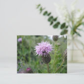 Chardon des champs briefkaart (Staand voorkant)