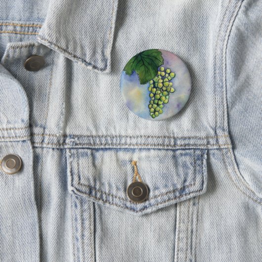 Chardonnay Wine Grapes Button (In situ)