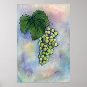 Chardonnay Wine Grapes Print