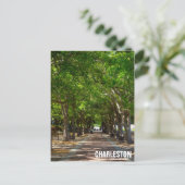 Charelston South Carolina Ravenel Waterfront Park Briefkaart (Staand voorkant)