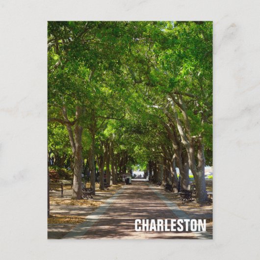 Charelston South Carolina Ravenel Waterfront Park Briefkaart (Voorkant)