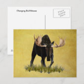 Charge Bull Moose Briefkaart (Voorkant / Achterkant)