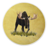 Charge Bull Moose Keramische Knop (Voorkant)