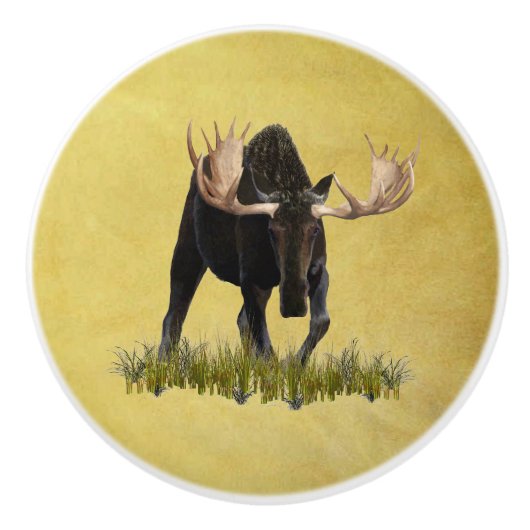 Charge Bull Moose Keramische Knop (Voorkant)