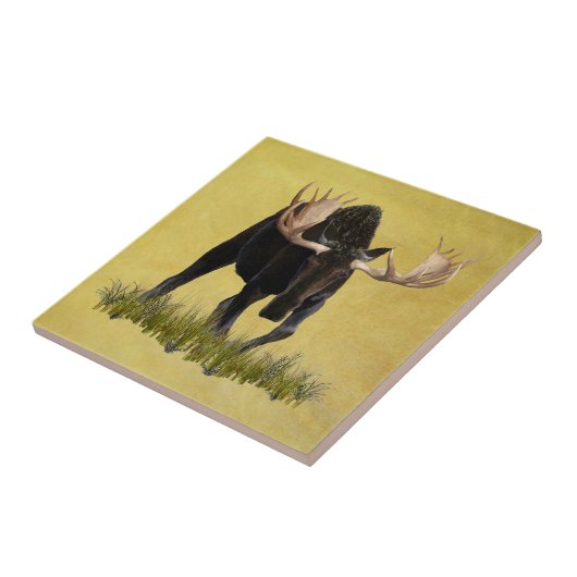 Charge Bull Moose Tegeltje (Zijkant)