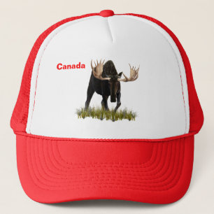Charge Bull Moose Trucker Pet